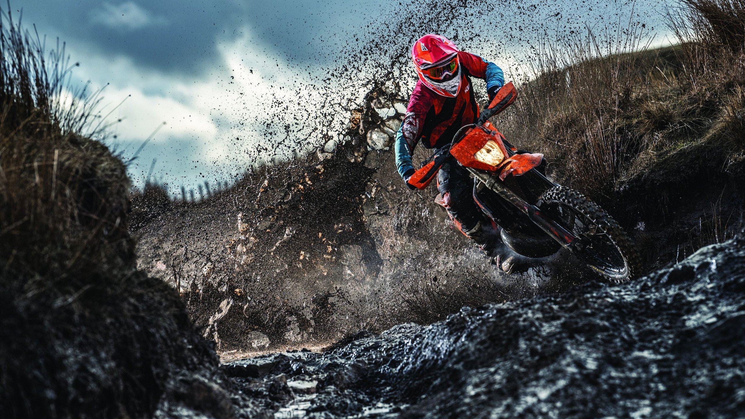 中国香港队赛制分析：如何通过细致配合在团体赛中打出高效配合